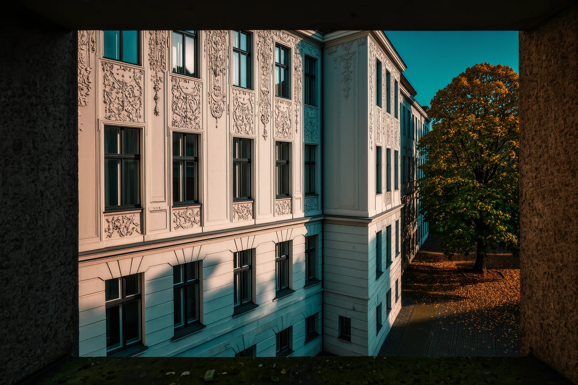Solarenergie und Immobilien: Ein Must-have für Berliner Neubauten